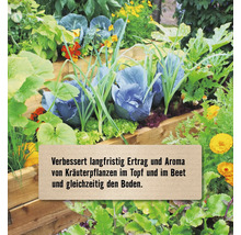 Bepflanztes Holz-Hochbeet mit Gemüse, Kräutern und Blumen sowie einem Hinweistext zur Steigerung von Ertrag und Aroma und zur Bodenverbesserung.