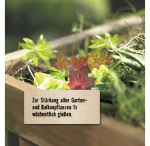 Holzkasten mit Pflanzen und Laub sowie Text zur Stärkung von Garten- und Balkonpflanzen durch einmal wöchentliches Gießen.