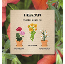 Einsatzzweck: Besonders geeignet für Balkonblumen, Beetpflanzen und Blumenzwiebeln.