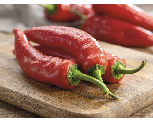 Frische rote Chilischoten mit grünen Stielen auf einem Holzschneidebrett.