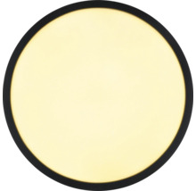 Runde LED-Deckenleuchte mit schwarzem Rahmen.