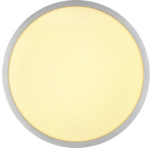 Runde LED Deckenleuchte mit silberfarbenem Rahmen und großer, diffuser Lichtfläche.