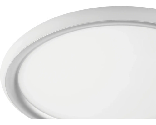 Nahaufnahme eines runden, flachen LED-Panels für Decke oder Wand mit einem schmalen Rahmen.