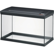 Rechteckiges Glasaquarium mit schwarzer Abdeckung und Bodenrahmen.