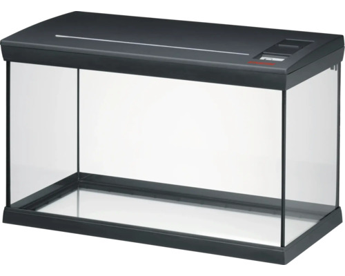 Rechteckiges Glasaquarium mit schwarzer Abdeckung und Bodenrahmen.