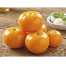 Mehrere orangefarbene Tomaten auf einer Holzoberfläche mit Mozzarella und Basilikum im Hintergrund.