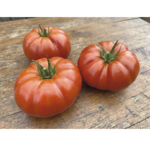 Drei große, rote, gerippte Fleischtomaten auf einer Holzoberfläche.
