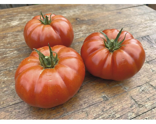Drei große, rote, gerippte Fleischtomaten auf einer Holzoberfläche.