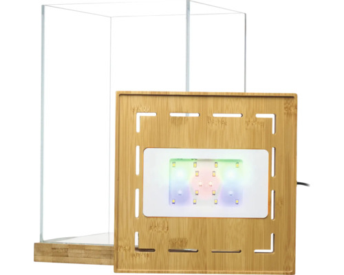 Nano Aquarium aus Glas mit Deckel und Boden aus Holz sowie integrierter LED-Beleuchtung.