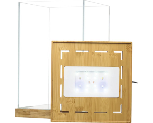 Kleines Glasterrarium mit Bambussockel und Bambusdeckel inklusive integrierter LED Beleuchtung.