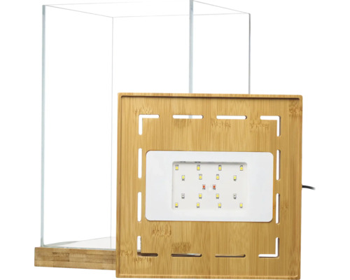 Glasterrarium mit LED-Pflanzenlampe und Bambusdeckel.