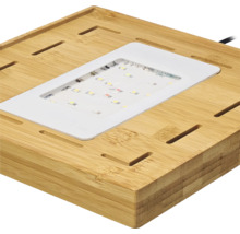 LED-Pflanzenlampe mit Bambus-Sockel und integrierten Leuchtdioden