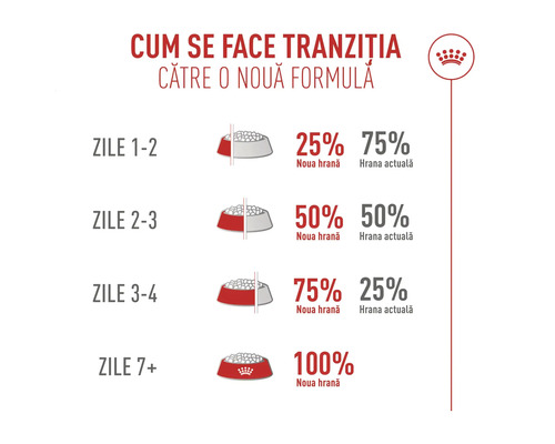 Infografik zur Futterumstellung über 7 Tage mit steigenden Anteilen von 25 Prozent bis 100 Prozent neuem Futter. Royal Canin Logo.
