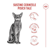 Royal Canin Logo. Vorteile von Katzenfutter: Hohe Akzeptanz, Erhalt des Idealgewichts und Unterstützung der Harnwegsgesundheit.