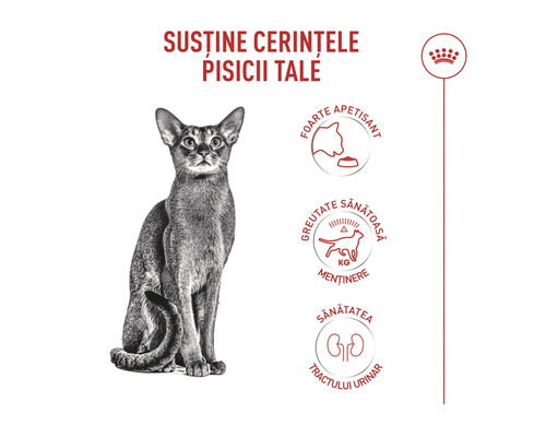 Royal Canin Logo. Vorteile von Katzenfutter: Hohe Akzeptanz, Erhalt des Idealgewichts und Unterstützung der Harnwegsgesundheit.