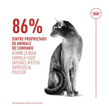 Sitzende Katze neben Text: 86 Prozent der Besitzer bestätigen, dass die Fussy-Formel wählerische Katzen zufriedenstellt. Royal Canin Logo.