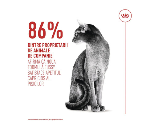 Sitzende Katze neben Text: 86 Prozent der Besitzer bestätigen, dass die Fussy-Formel wählerische Katzen zufriedenstellt. Royal Canin Logo.