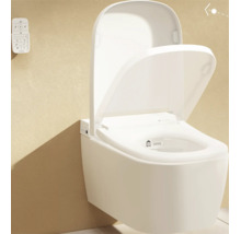 Wandhängendes Dusch-WC aus Keramik mit geöffnetem Deckel und Wandfernbedienung in einem modernen Badezimmer.