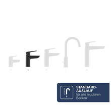 Armatur mit Standard-Auslauf in Größe S für alle regulären Becken.