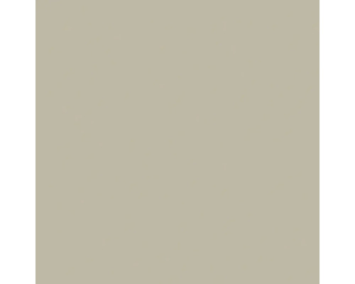 Farbmuster in einem neutralen, hellen Braun-Grau für Wände und Oberflächen.