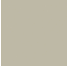 Farbmuster in einem neutralen, hellen Braun-Grau für Wände und Oberflächen.