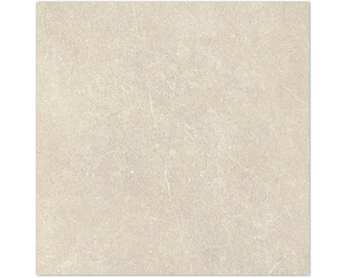 Beige Feinsteinzeugfliese in Steinoptik mit matter, fein gesprenkelter Oberfläche.