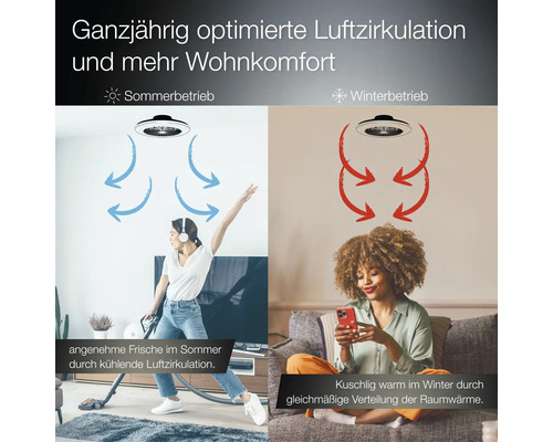 Infografik Deckenventilator mit Sommer- und Winterbetrieb. Pfeile zeigen Luftzirkulation zur Kühlung im Sommer und Wärmeverteilung im Winter.