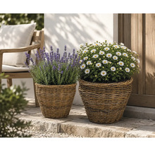 Zwei geflochtene Pflanzkörbe aus Weide auf einer Steinterrasse vor einer Hauswand, bepflanzt mit Lavendel und weißen Margeriten.