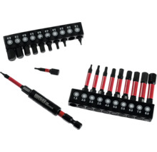 WGB Bit-Satz mit 10 Sechskant-Bits, Bithalter mit WGB Logo und Halterungsschienen. Größen von 1,5 bis 8,0 Millimeter.