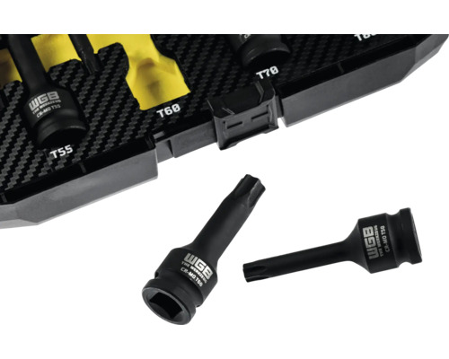 WGB Torx-Schlagschrauber-Bits aus Chrom-Molybdän-Stahl, übersichtlich sortiert in einem Werkzeugkoffer.