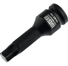 WGB Kraft-Steckschlüsseleinsatz Torx T60, aus Chrom-Molybdän-Stahl.