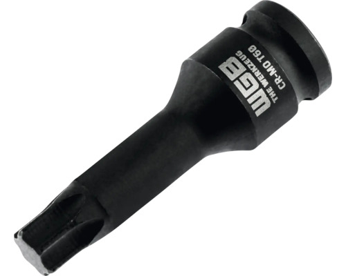 WGB Kraft-Steckschlüsseleinsatz Torx T60, aus Chrom-Molybdän-Stahl.