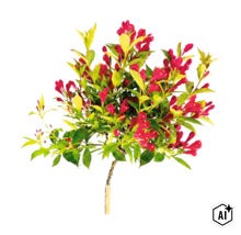 Weigelie auf Stamm mit roten Blüten und gelb-grünen Blättern. (Image AI modified or generated)