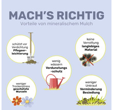 Vorteile von mineralischem Mulch: schützt vor Verdichtung, verringert Verdunstung, verrottet nicht, schützt Wurzeln und mindert Unkraut.