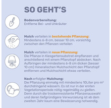 Infografik: Anleitung zum Mulchen in vier Schritten: Bodenvorbereitung, Mulchen bei Alt- und Neubepflanzung sowie anschließendes Gießen.