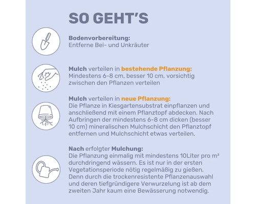 Infografik: Anleitung zum Mulchen in vier Schritten: Bodenvorbereitung, Mulchen bei Alt- und Neubepflanzung sowie anschließendes Gießen.