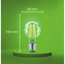 Philips LED Filament Glühbirne mit 60 Millimeter Durchmesser und 104 Millimeter Gesamthöhe.
