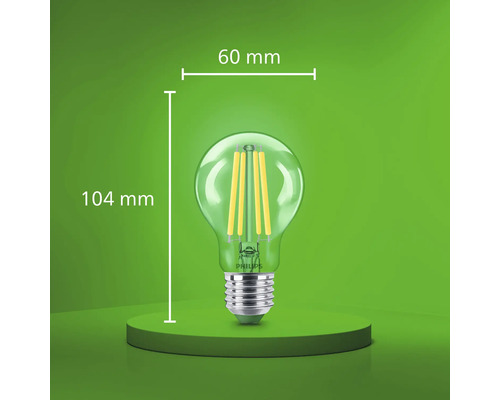 Philips LED Filament Glühbirne mit 60 Millimeter Durchmesser und 104 Millimeter Gesamthöhe.