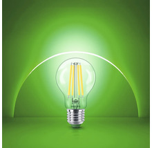 Philips LED Filament Lampe mit Schraubsockel