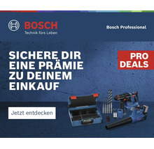 Bosch Professional Pro Deals Aktionsbanner mit Werkzeugkoffer, Bohrern, Akku-Bohrhammer und Akku-Gebläse.