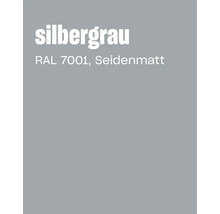 Farbkarte in Silbergrau RAL 7001 seidenmatt