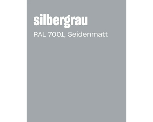 Farbkarte in Silbergrau RAL 7001 seidenmatt