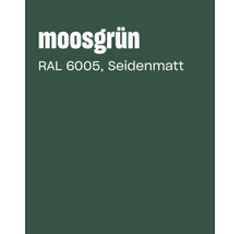 Farbkarte Moosgrün RAL 6005 in Seidenmatt