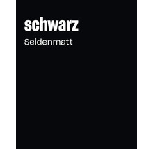 Farbbeispiel für die Lackierung in der Ausführung schwarz seidenmatt