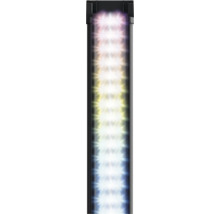 LED Aquariumbeleuchtung für Aquarien mit ausleuchtenden Dioden in einer schwarzen Halterung