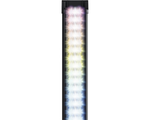 LED Aquariumbeleuchtung für Aquarien mit ausleuchtenden Dioden in einer schwarzen Halterung