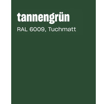 Farbkarte in Tannengrün RAL 6009 Tuchmatt