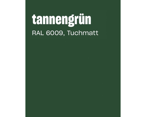 Farbkarte in Tannengrün RAL 6009 Tuchmatt
