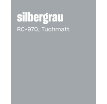 Farbkarte in Silber Grau mit der Bezeichnung RC 970 Tuchmatt