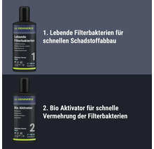 Dennerle Aquarium Starter Rapid Set mit lebenden Filterbakterien und Bio Aktivator zur schnellen Einfahrphase des Aquariums, 2 mal 100 Milliliter.